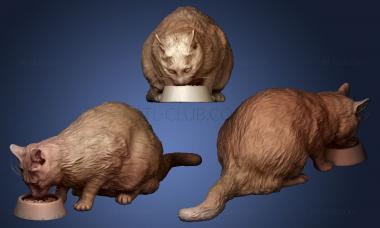 3D мадэль Кошка ест корм 12 (STL)
